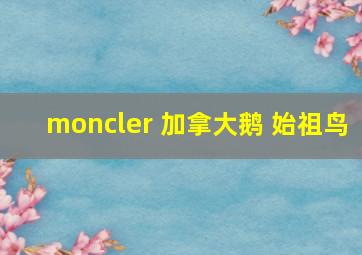 moncler 加拿大鹅 始祖鸟